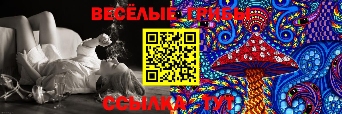 Галлюциногенные грибы MAGIC MUSHROOMS  Вход с VPN  Шебекино 